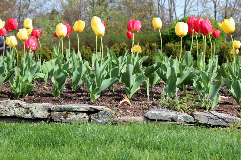 Garden Edging Installation